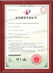 证书-一种用于筛选PARP抑制剂靶向药物敏感患者的检测试剂盒-实用新型